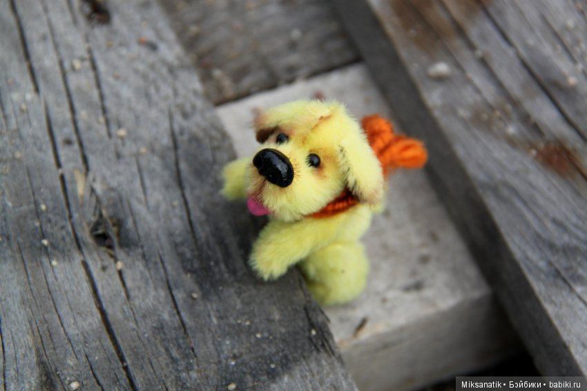 Преданней собаки нету существа