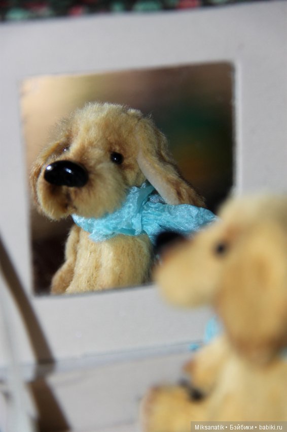 Преданней собаки нету существа