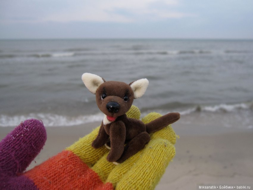 Преданней собаки нету существа (фото 8)