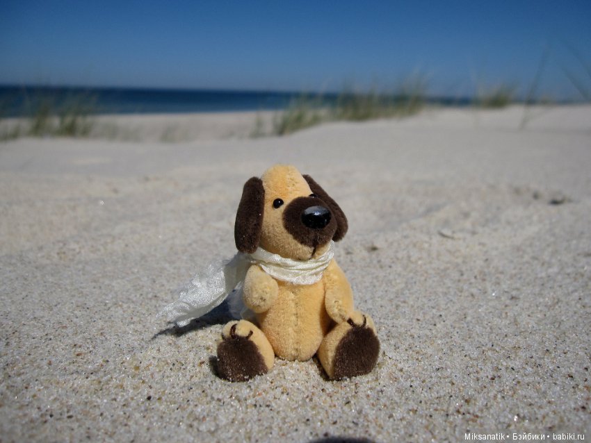 Преданней собаки нету существа