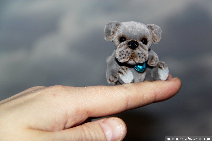 Преданней собаки нету существа