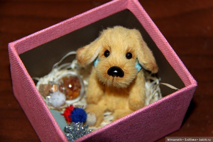 Преданней собаки нету существа