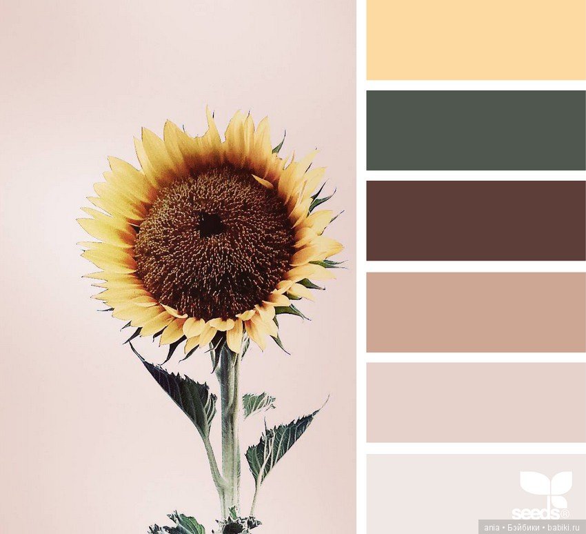Осень. Сочетание цветов — Сочетание цветов: палитры для одежды и интерьера (фото 5)