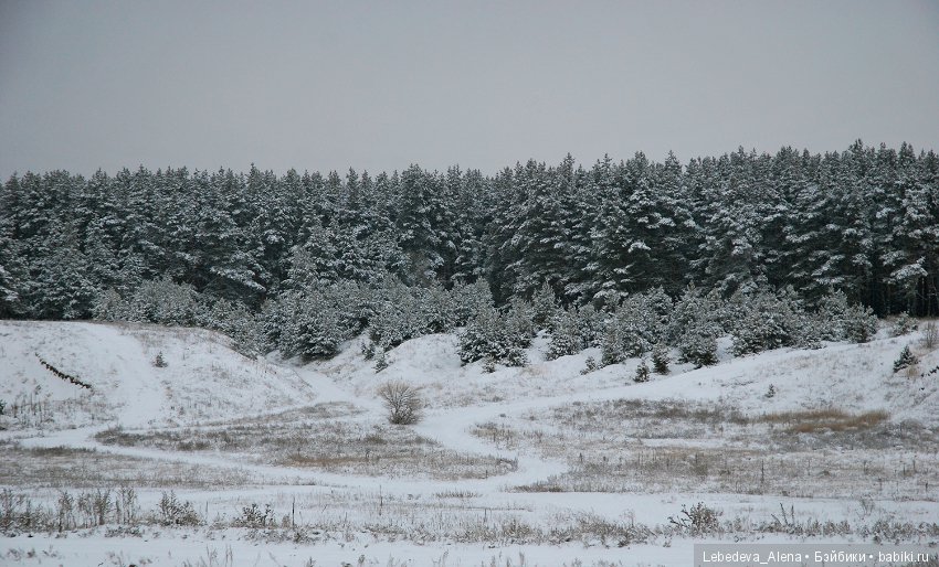 Как Марта Льюиса с зимой знакомила (фото 2)