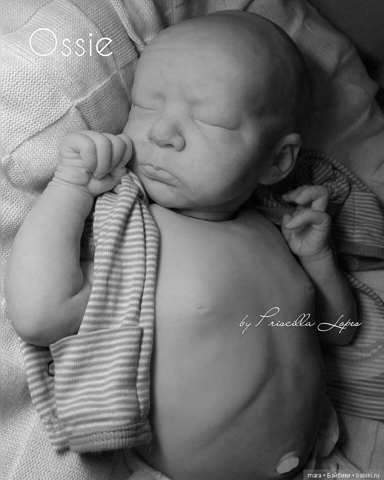 Ossie от скульптора Priscilla Lopes