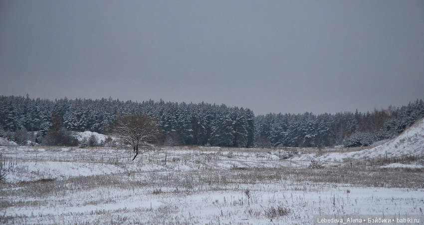 Как Марта Льюиса с зимой знакомила (фото 3)