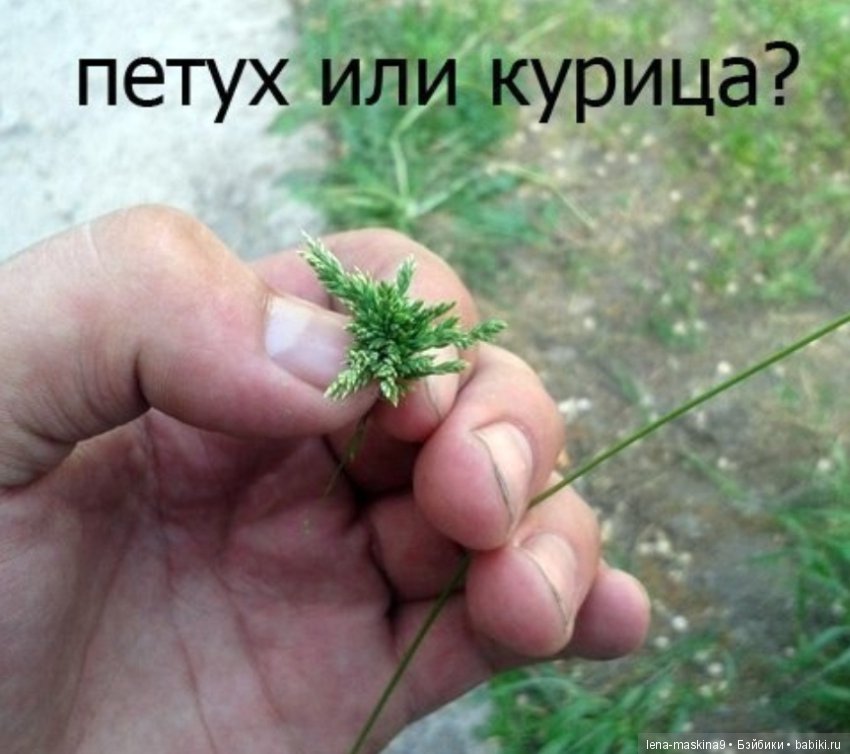 Назад в СССР — Интересное и необычное: фотоподборки