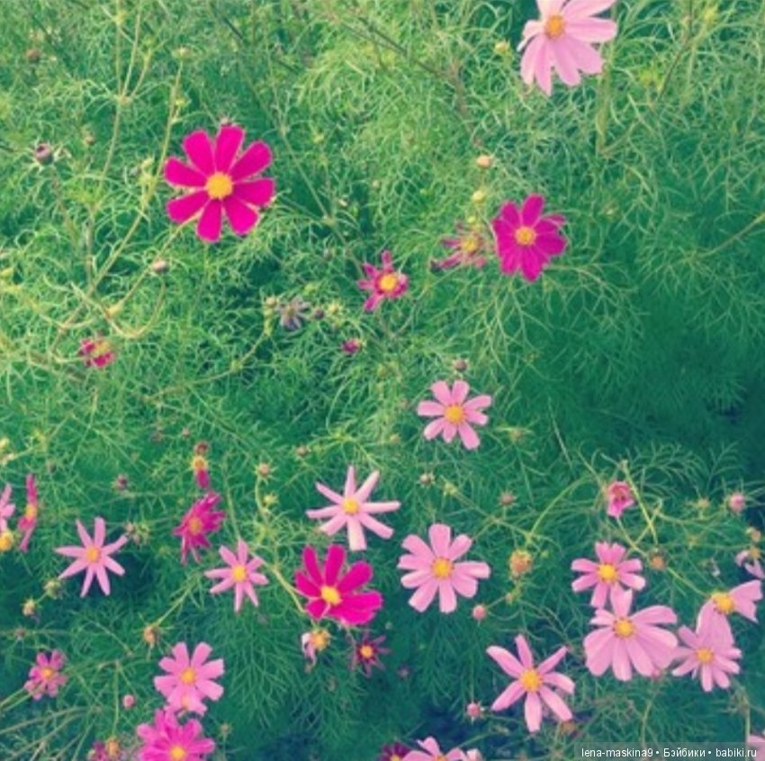 Назад в СССР — Интересное и необычное: фотоподборки (фото 2)