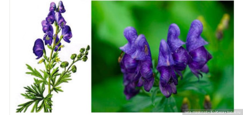 Назад в СССР — Интересное и необычное: фотоподборки (фото 6)