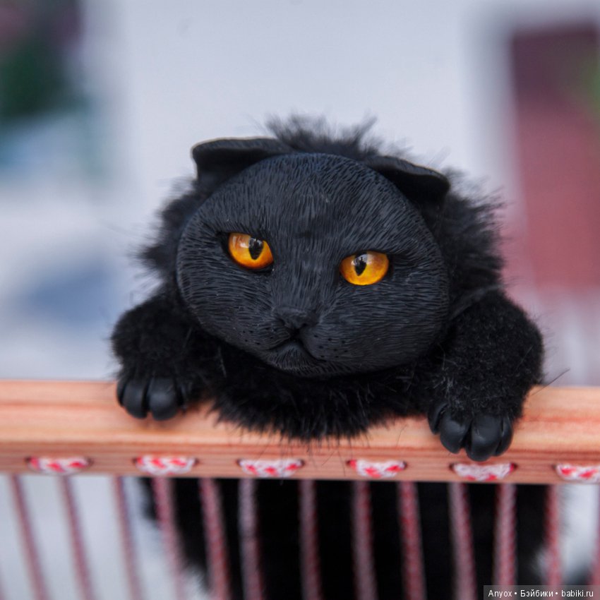 Летнее настроение - Новый Шезлонг