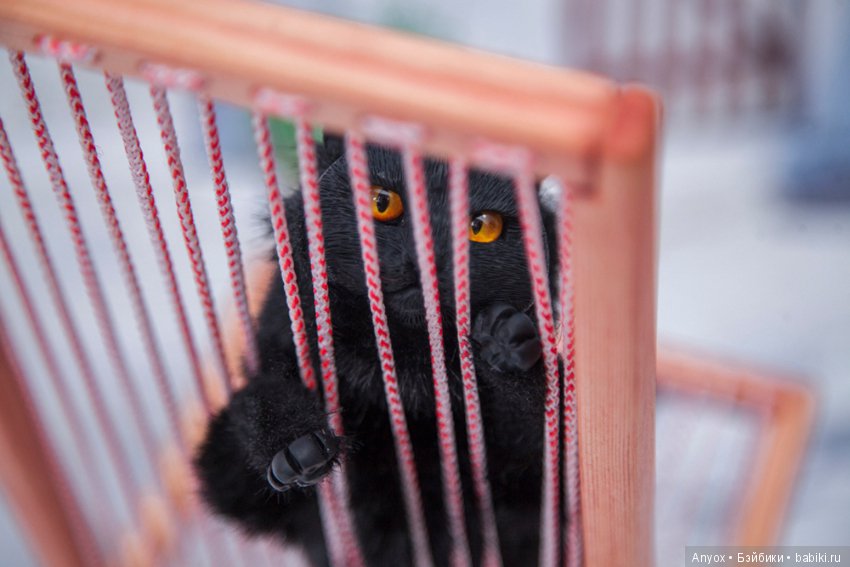 Летнее настроение - Новый Шезлонг