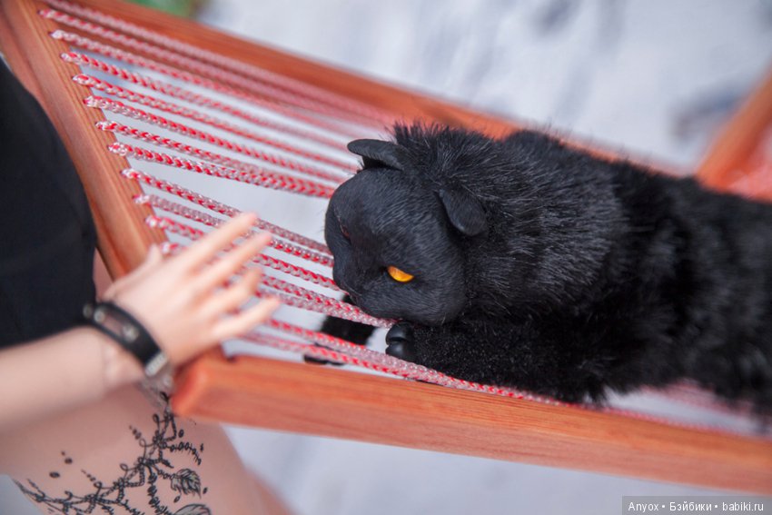 Летнее настроение - Новый Шезлонг