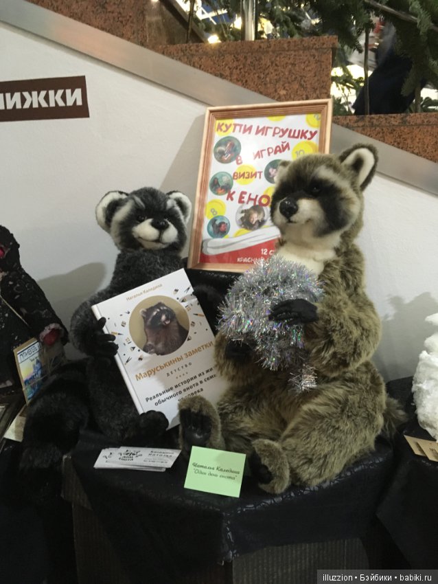 Хелло, Тедди 2018! Фоторепортаж (фото 8)