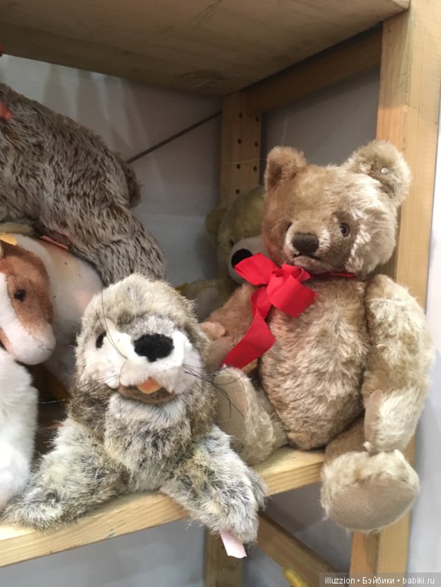 Хелло, Тедди 2018! Фоторепортаж