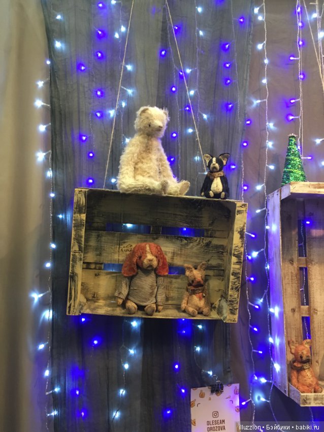 Хелло, Тедди 2018! Фоторепортаж