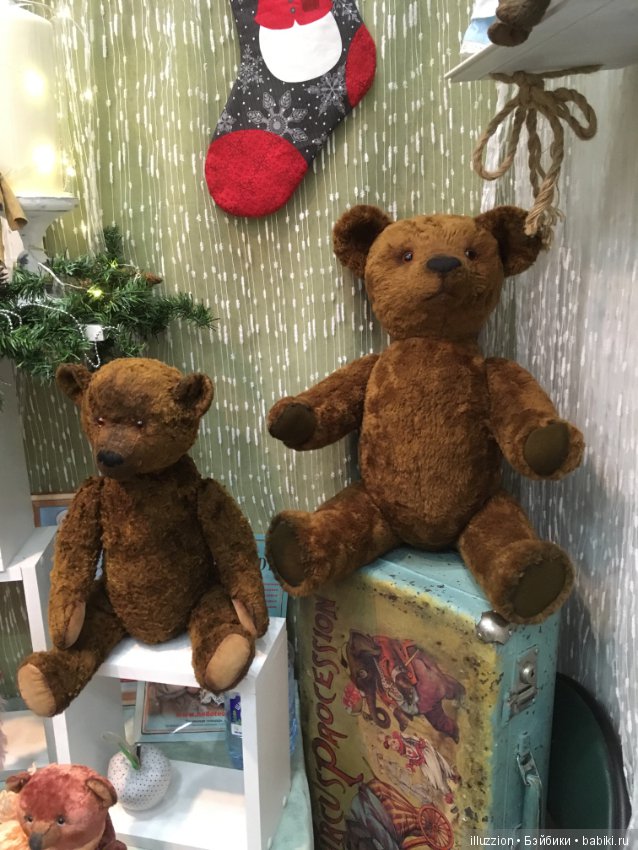 Хелло, Тедди 2018! Фоторепортаж