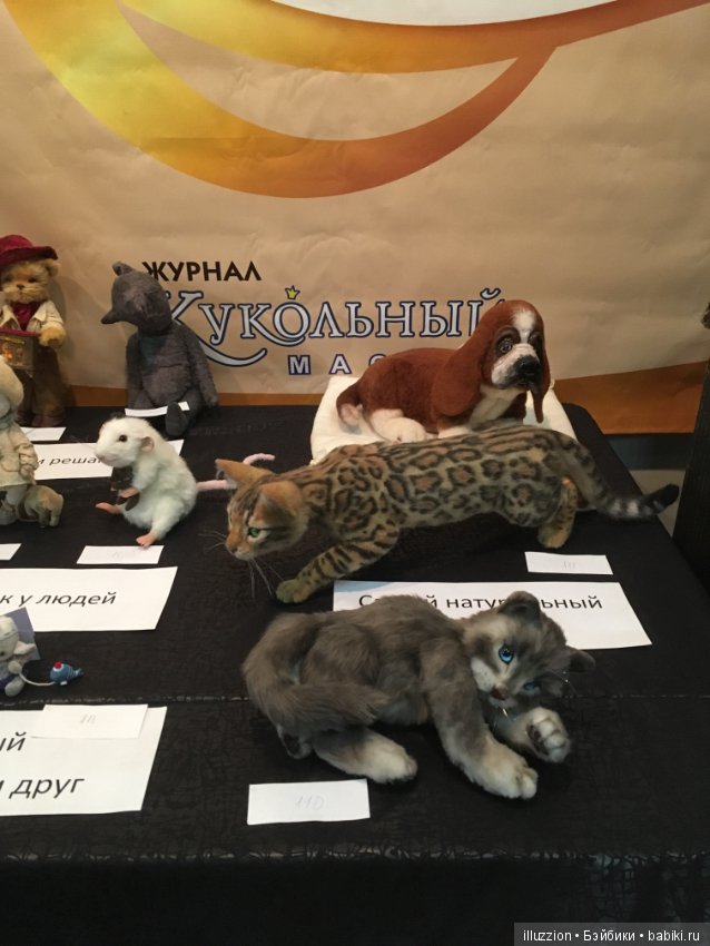 Хелло, Тедди 2018! Фоторепортаж (фото 5)