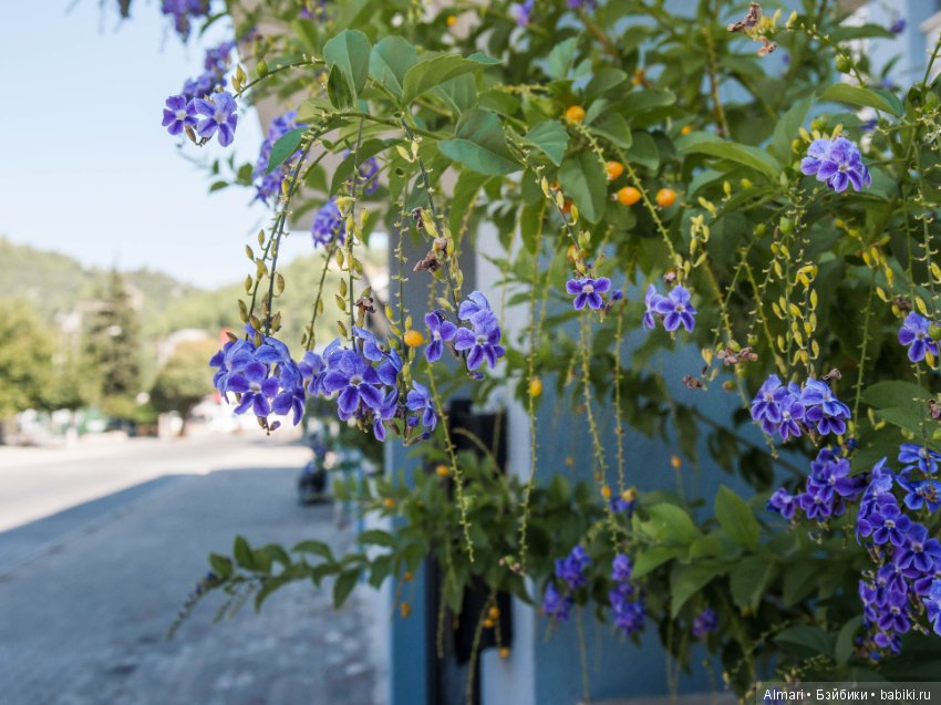 Цвет настроения синий — Фэшн (фото 10)