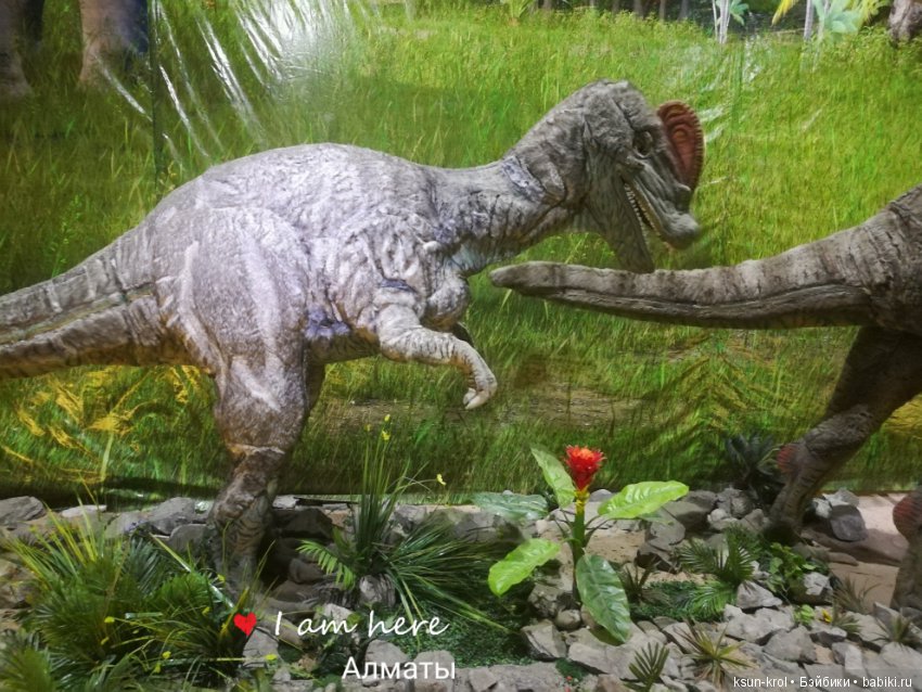 Каникулы в Алматы. Часть 2