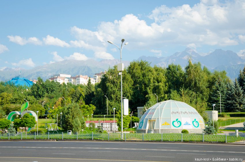 Каникулы в Алматы. Часть 1 (фото 6)