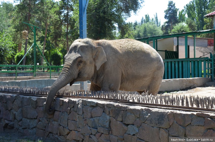 Каникулы в Алматы. Часть 2