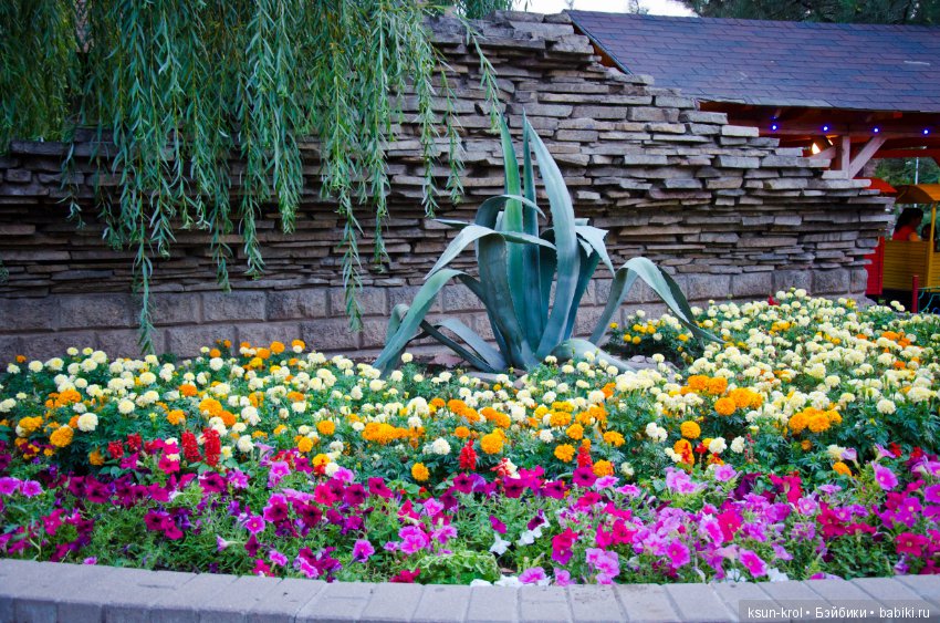 Каникулы в Алматы. Часть 1 (фото 4)