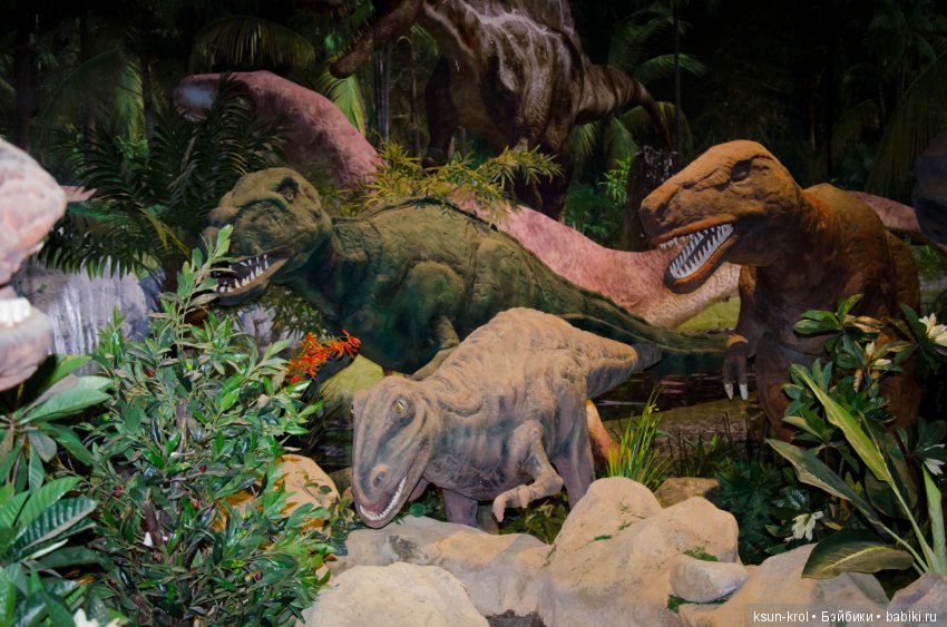 Каникулы в Алматы. Часть 2