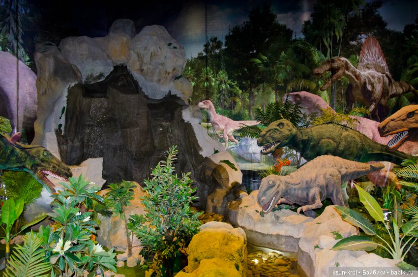 Каникулы в Алматы. Часть 2