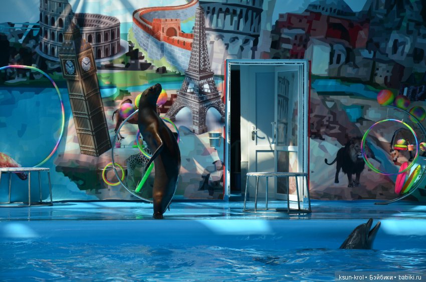 Каникулы в Алматы. Часть 2