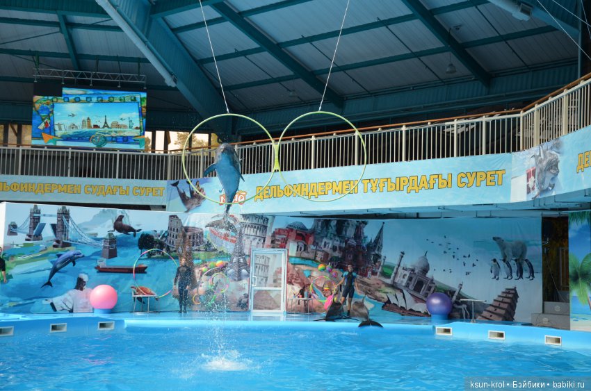 Каникулы в Алматы. Часть 2