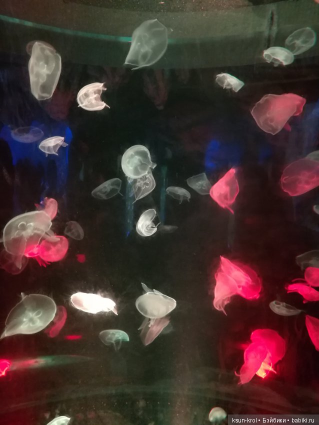 Каникулы в Алматы. Часть 2