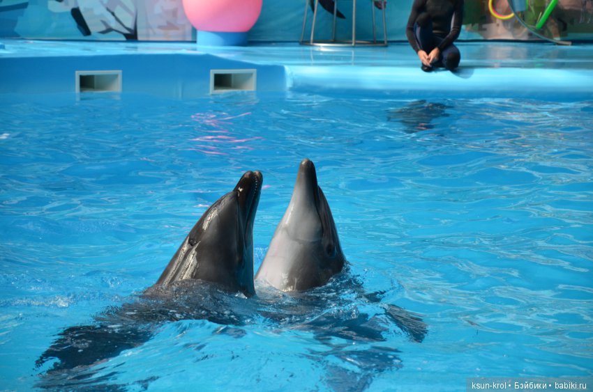 Каникулы в Алматы. Часть 2