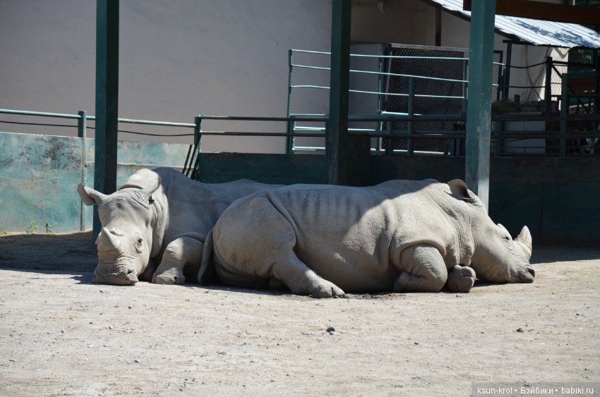 Каникулы в Алматы. Часть 2