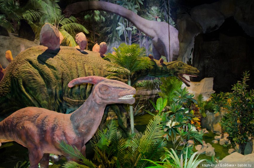 Каникулы в Алматы. Часть 2