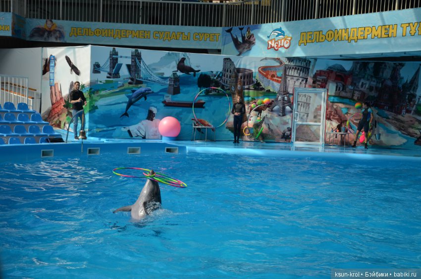 Каникулы в Алматы. Часть 2