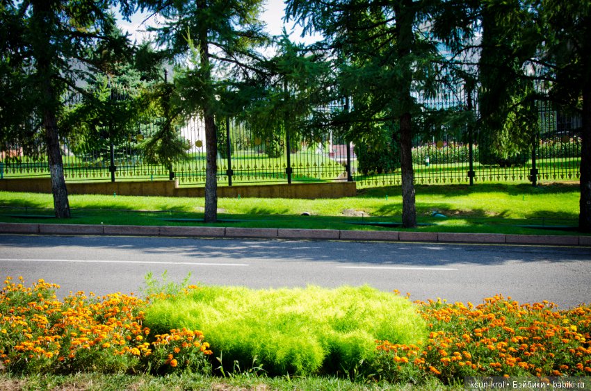 Каникулы в Алматы. Часть 1 (фото 7)