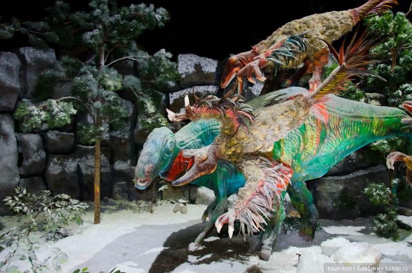 Каникулы в Алматы. Часть 2