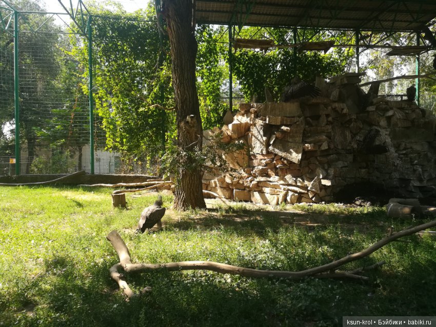 Каникулы в Алматы. Часть 2