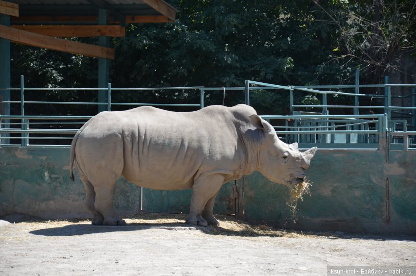 Каникулы в Алматы. Часть 2