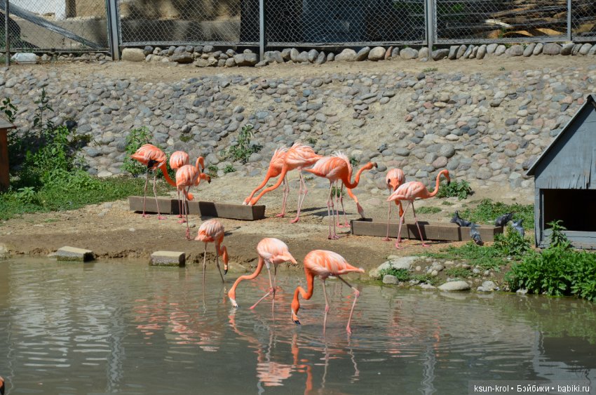 Каникулы в Алматы. Часть 2