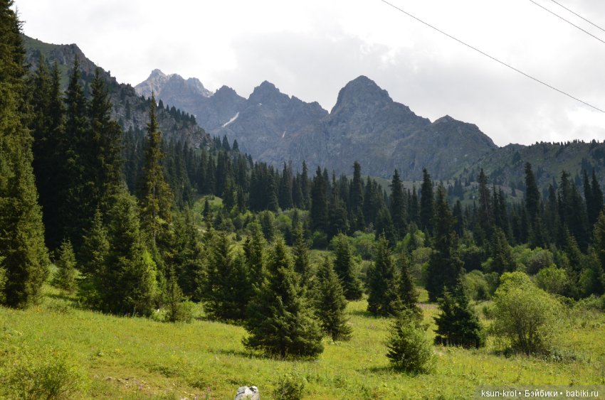 Каникулы в Алматы. Часть 3 (фото 8)