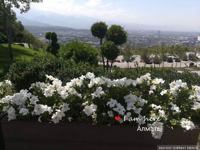 Каникулы в Алматы. Часть 3