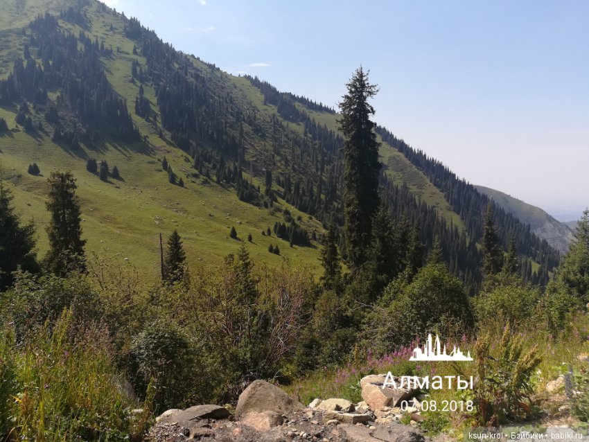 Каникулы в Алматы. Часть 3 (фото 4)