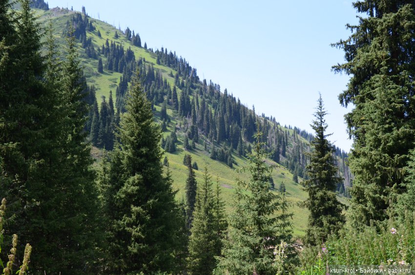 Каникулы в Алматы. Часть 3 (фото 9)