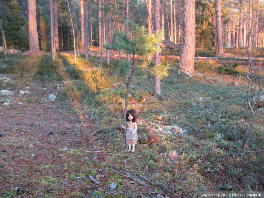 Лея (Iplehouse BID Serca)