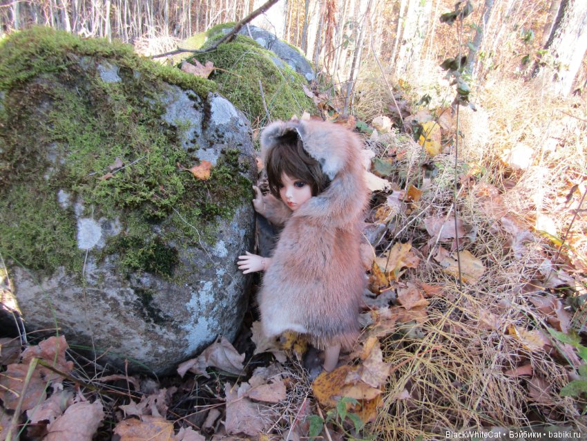 Лея (Iplehouse BID Serca) (фото 6)