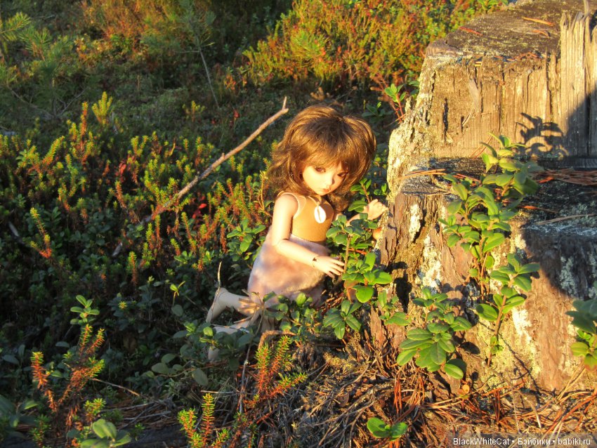 Лея (Iplehouse BID Serca) (фото 10)