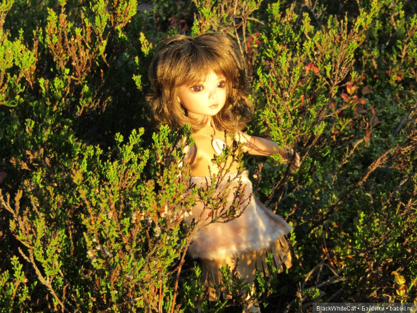 Лея (Iplehouse BID Serca) (фото 8)