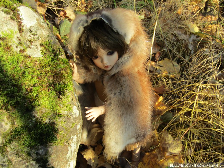 Лея (Iplehouse BID Serca) (фото 7)