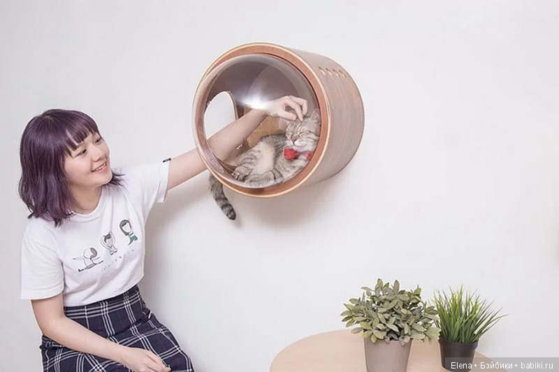 Интересные домики для кошек от компании MyZoo Studio (фото 2)